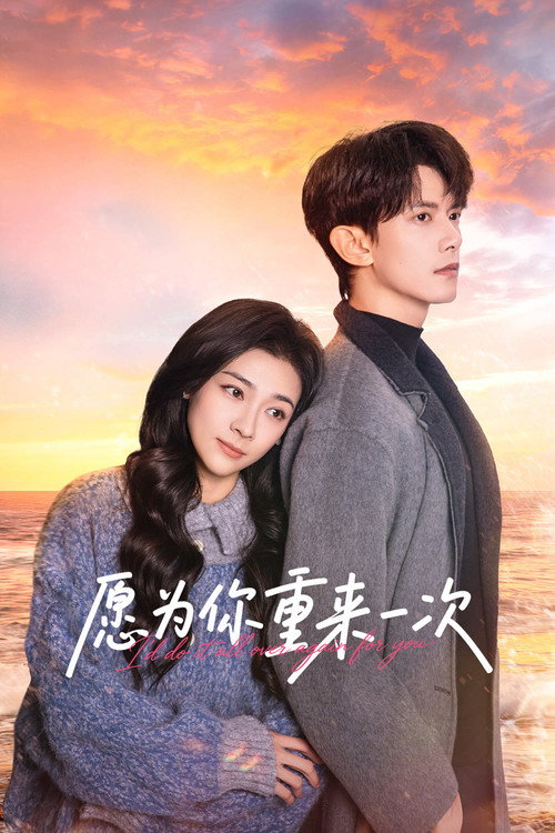 I'd Do It All Over Again for You poster