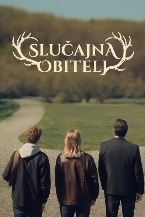 Slučajna obitelj poster