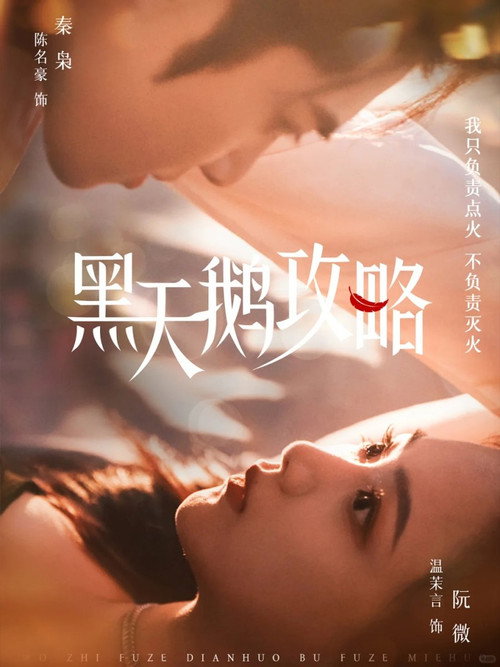 黑天鹅攻略 poster
