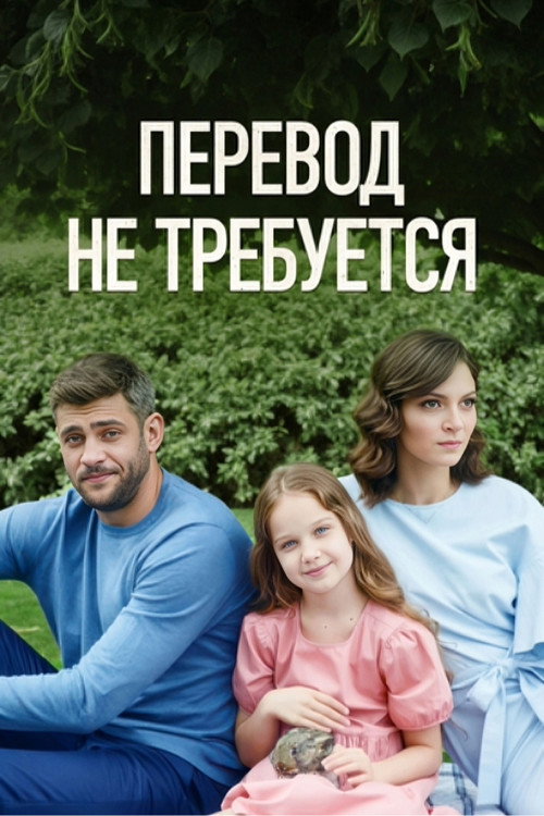No Translation Needed poster