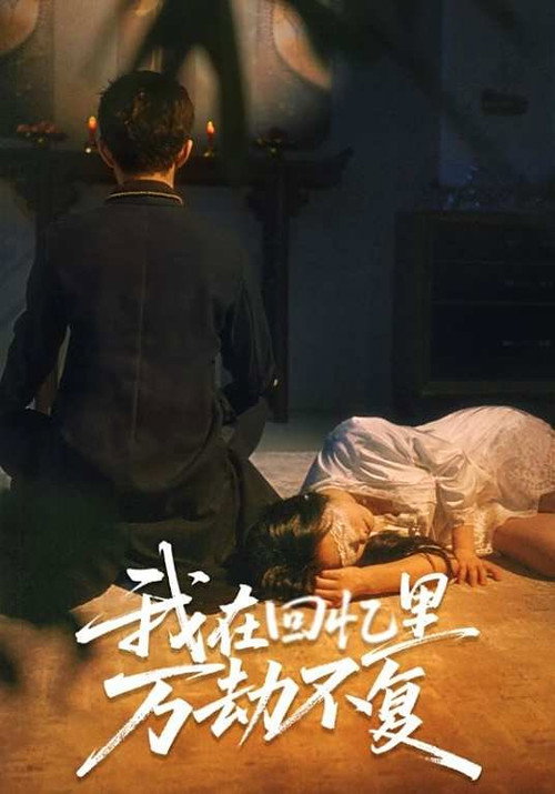 Haunted by Shadows of You poster