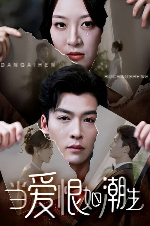 Our Forever, Laid to Rest poster