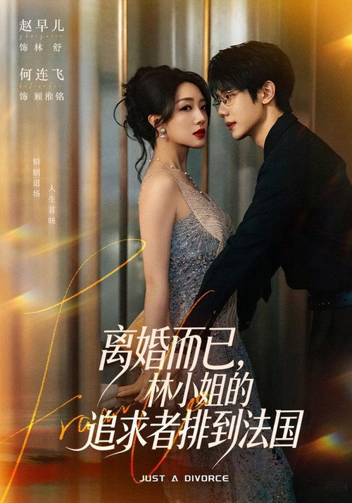 离婚而已，林小姐的追求者排到法国 poster