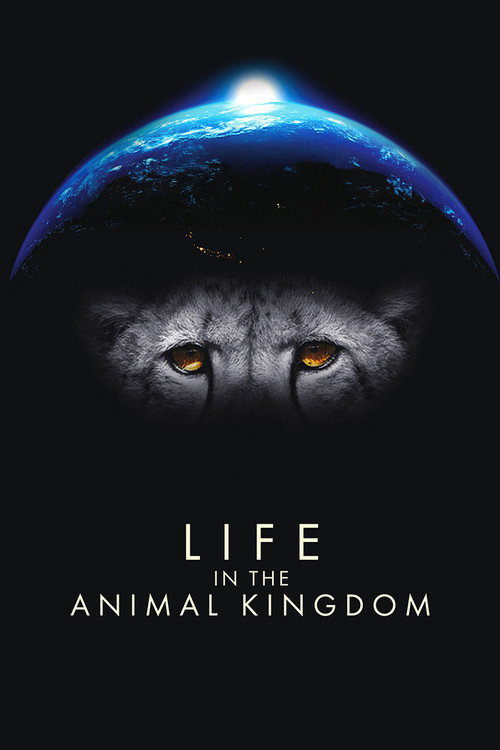 Life in the Animal Kingdom poster