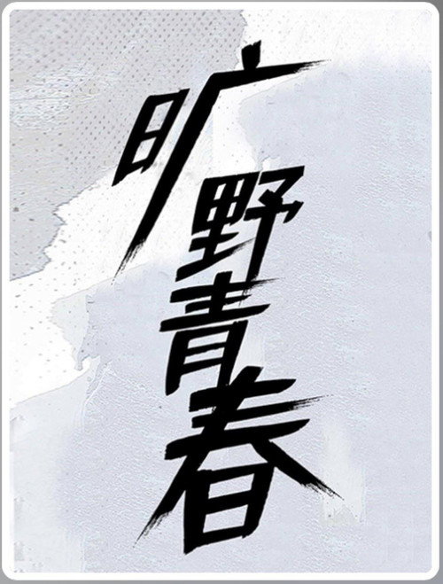 旷野青春 poster