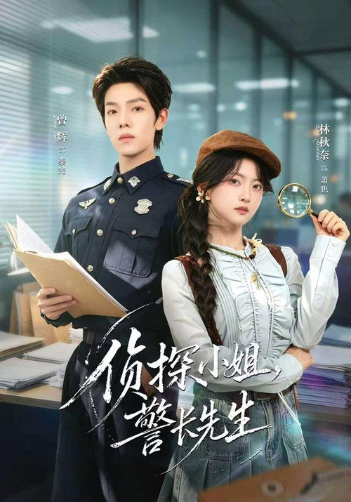 侦探小姐，警长先生 poster