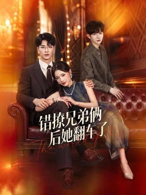 错撩兄弟俩后她翻车了 poster