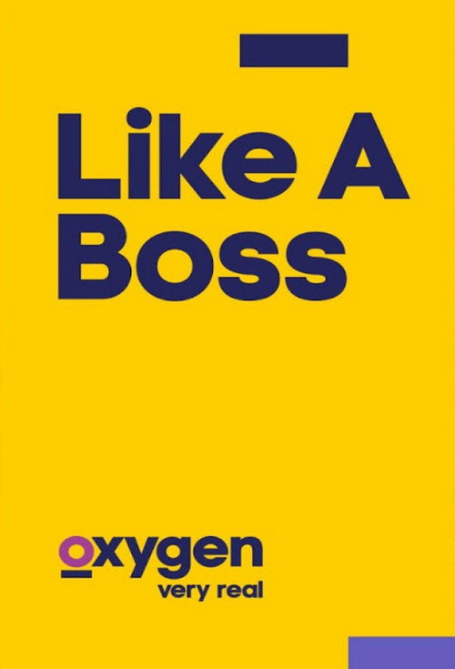 Like A Boss poster