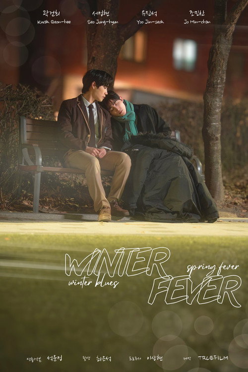 Winter Fever poster