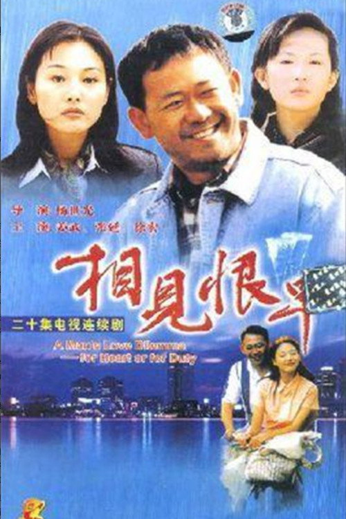 相见恨早 poster