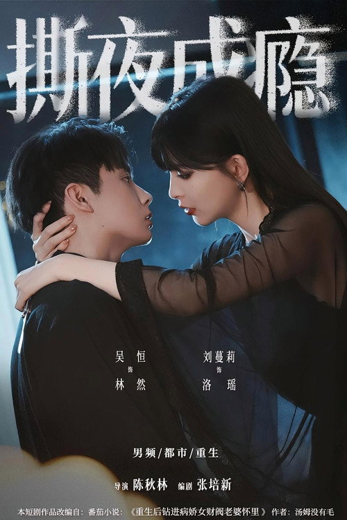 撕夜成瘾 poster