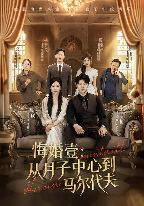 悔婚壹:从月子中心到马尔代夫 poster