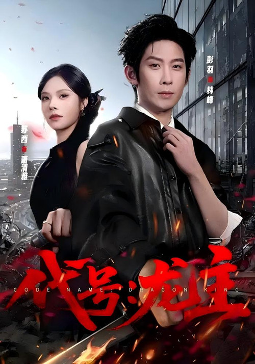 代号:龙主 poster