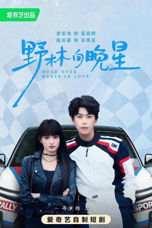 野林向晚星 poster
