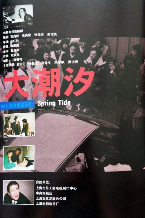 大潮汐 poster