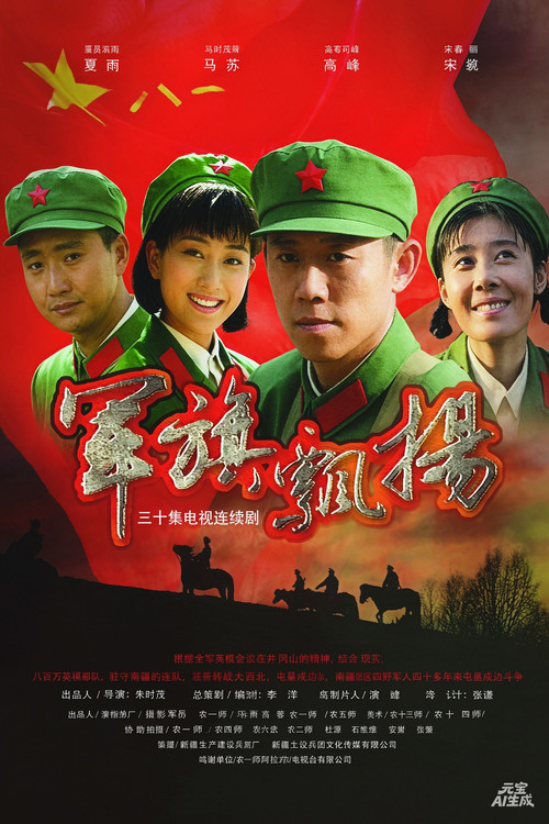 军旗飘扬 poster