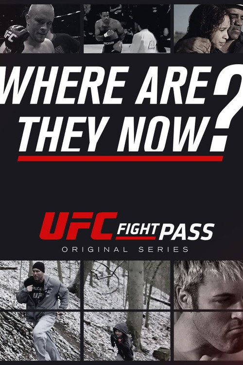 UFC: Where Are They Now? poster