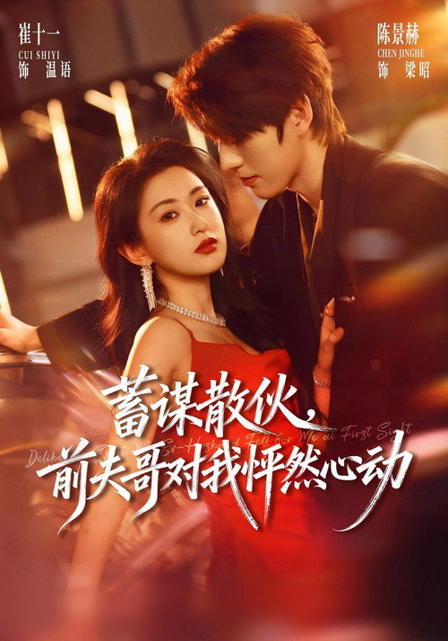 蓄谋散伙，前夫哥对我怦然心动 poster