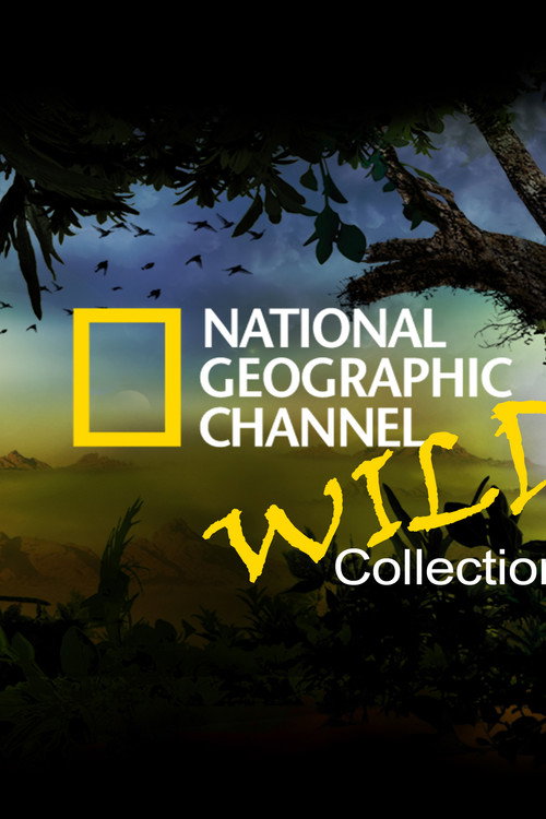 National Geographic Channel: Wild poster