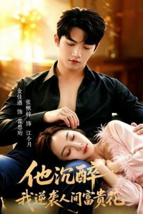 他沉醉,我逆袭人间富贵花 poster