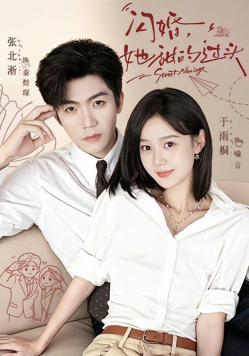 闪婚，她甜的过头 poster