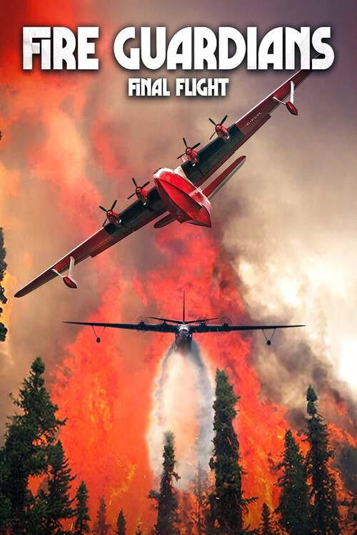 Fire Guardians: Final Flight poster