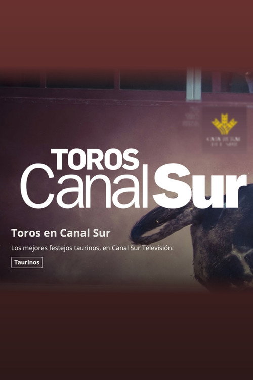 Toros Canal Sur poster
