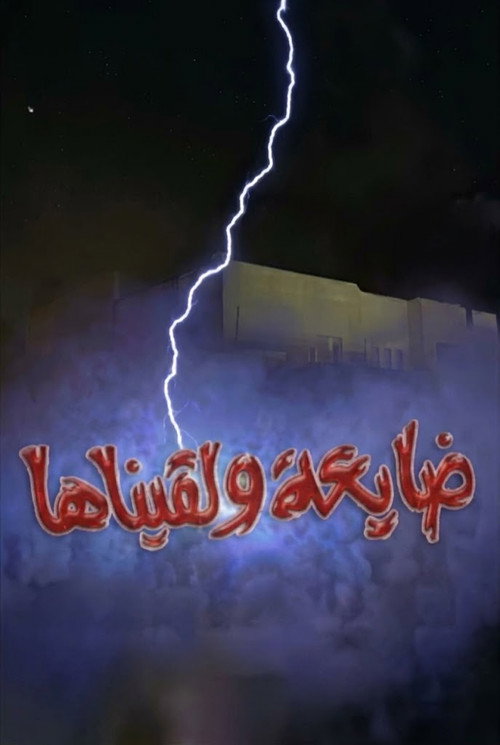 ضايعة ولقيناها poster