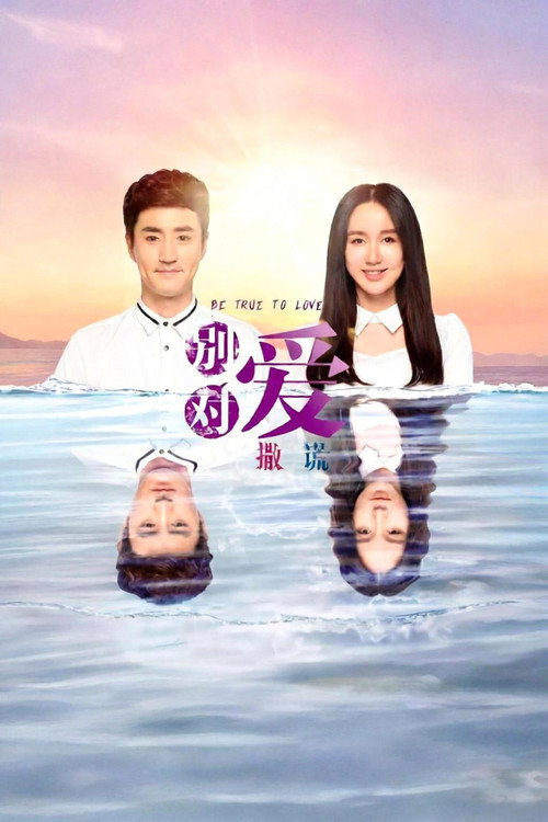 请对我说谎 poster