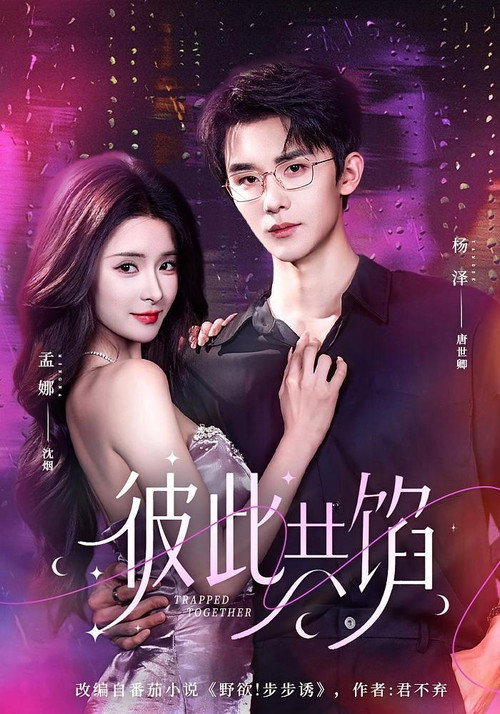 彼此共馅 poster