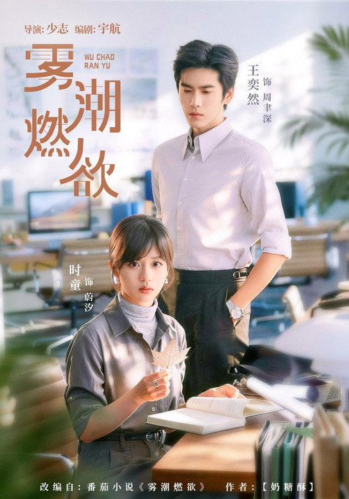 雾潮燃欲 poster