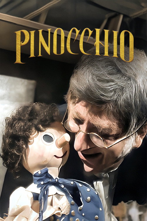 Les Aventures De Pinocchio poster