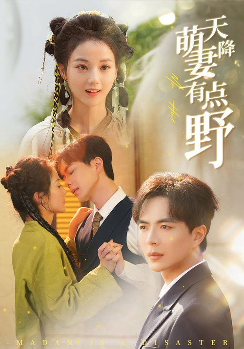 天降萌妻有点野 poster