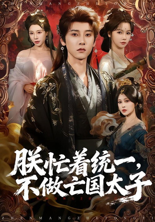 朕忙着统一，不做亡国太子 poster