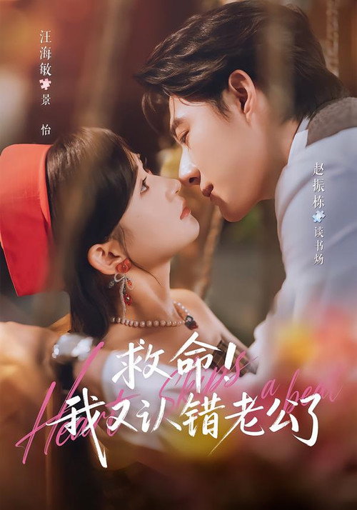 救命!我又认错老公了 poster