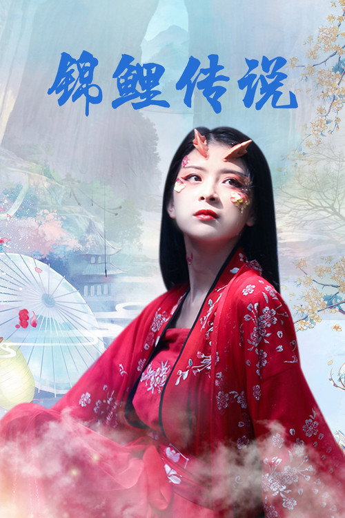 锦鲤传说 poster