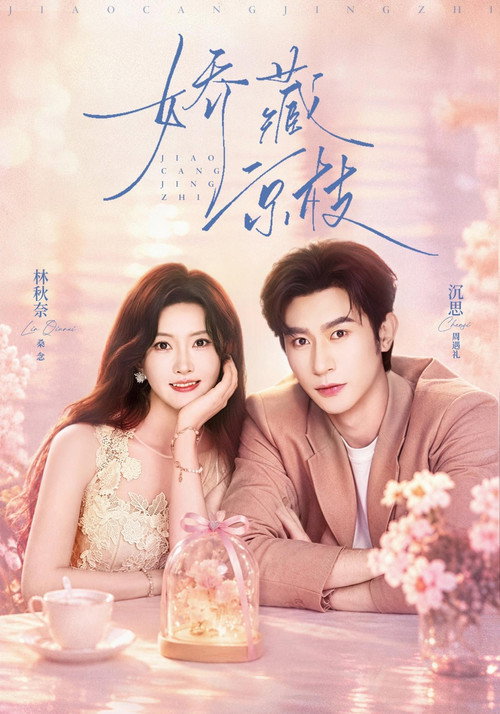 娇藏京枝 poster