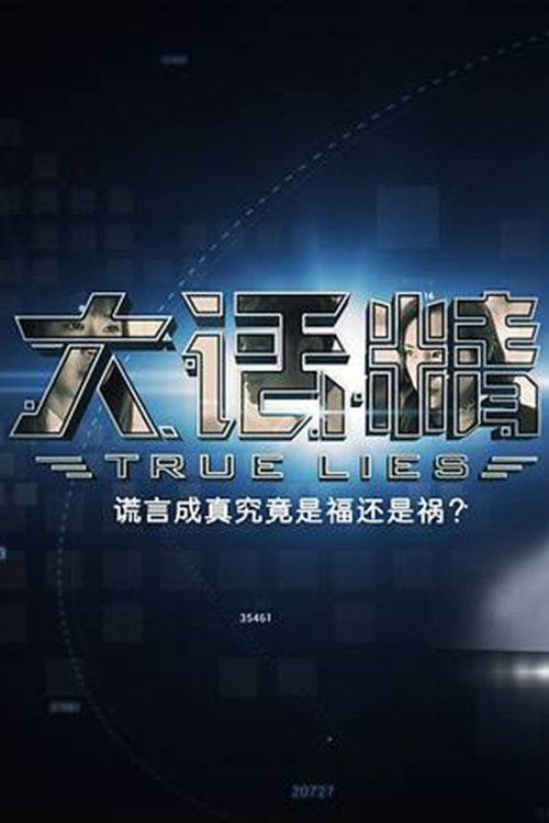 大话精 poster