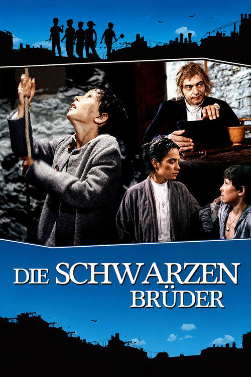 Die schwarzen Brüder poster