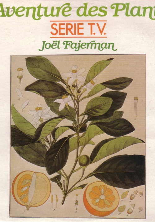 The Adventure of Plants poster
