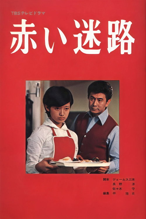 Red Maze poster