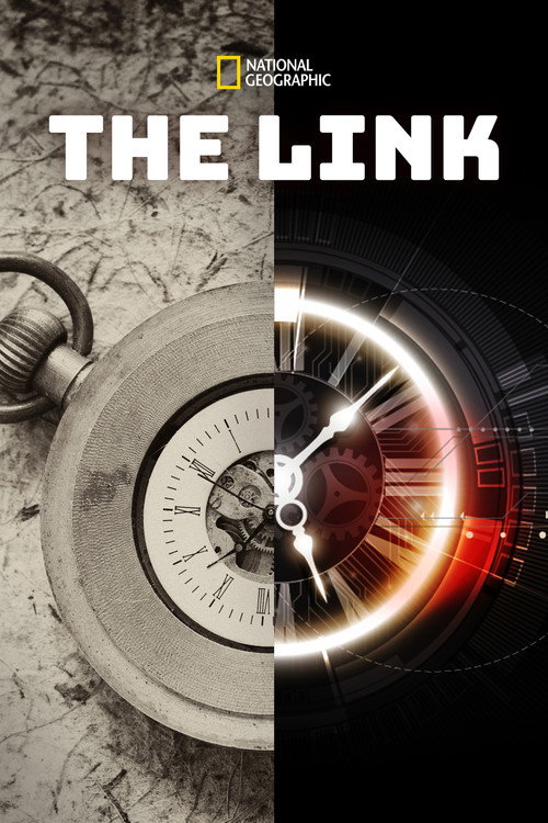 The Link poster