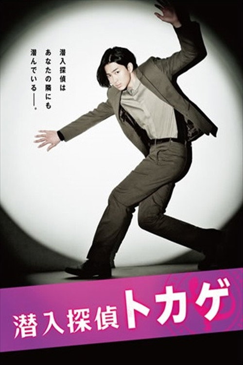 Undercover Agent Lizard poster