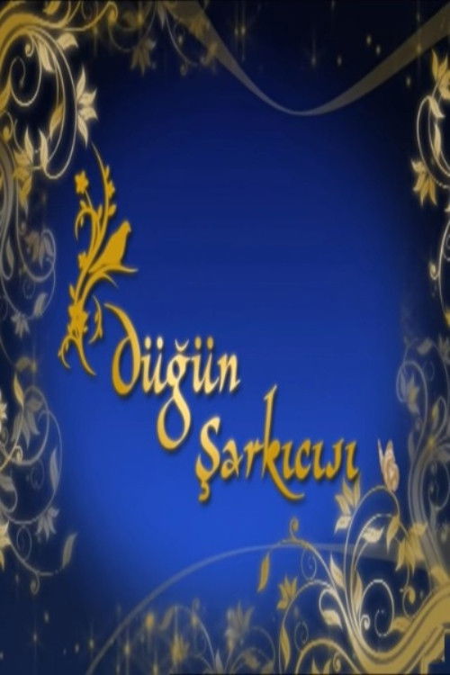 Düğün Şarkıcısı poster