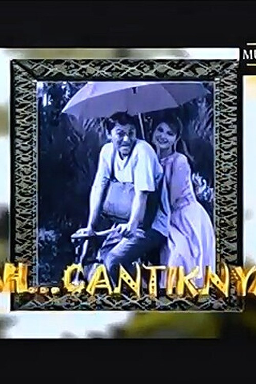 So Pretty poster