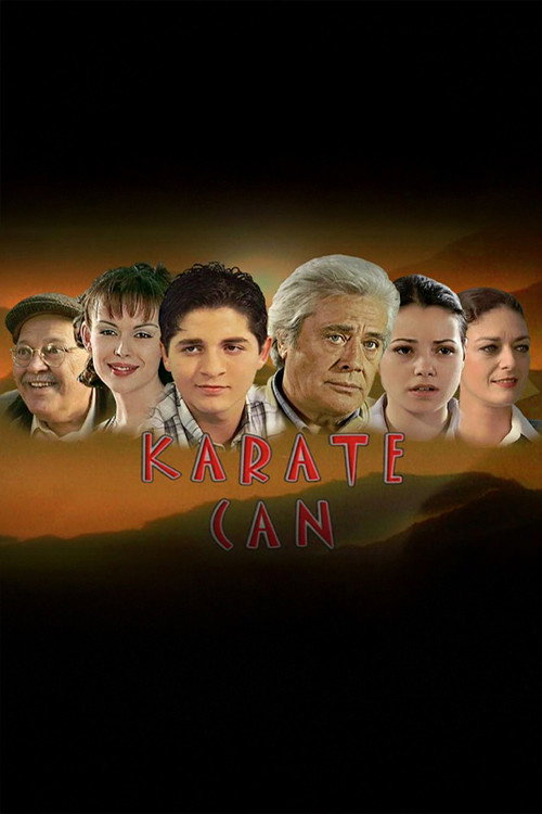 Karate Can poster
