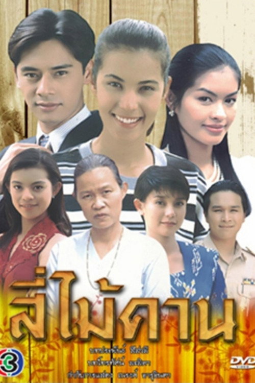 Four Poles poster