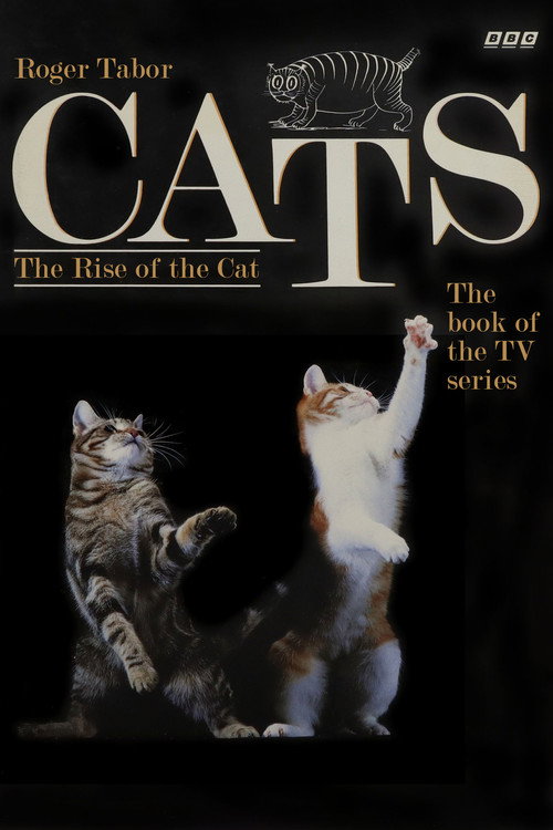 Cats poster