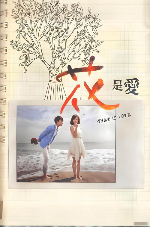 What is Love poster