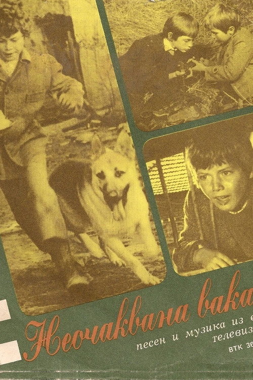 Unexpected Vacation poster